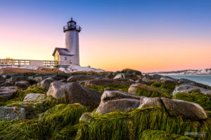 annisquam_harbor_light_seaweed_waterfalls